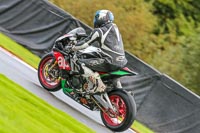 PJ-Motorsport-Photography-2020;anglesey;brands-hatch;cadwell-park;croft;donington-park;enduro-digital-images;event-digital-images;eventdigitalimages;mallory;no-limits;oulton-park;peter-wileman-photography;racing-digital-images;silverstone;snetterton;trackday-digital-images;trackday-photos;vmcc-banbury-run;welsh-2-day-enduro
